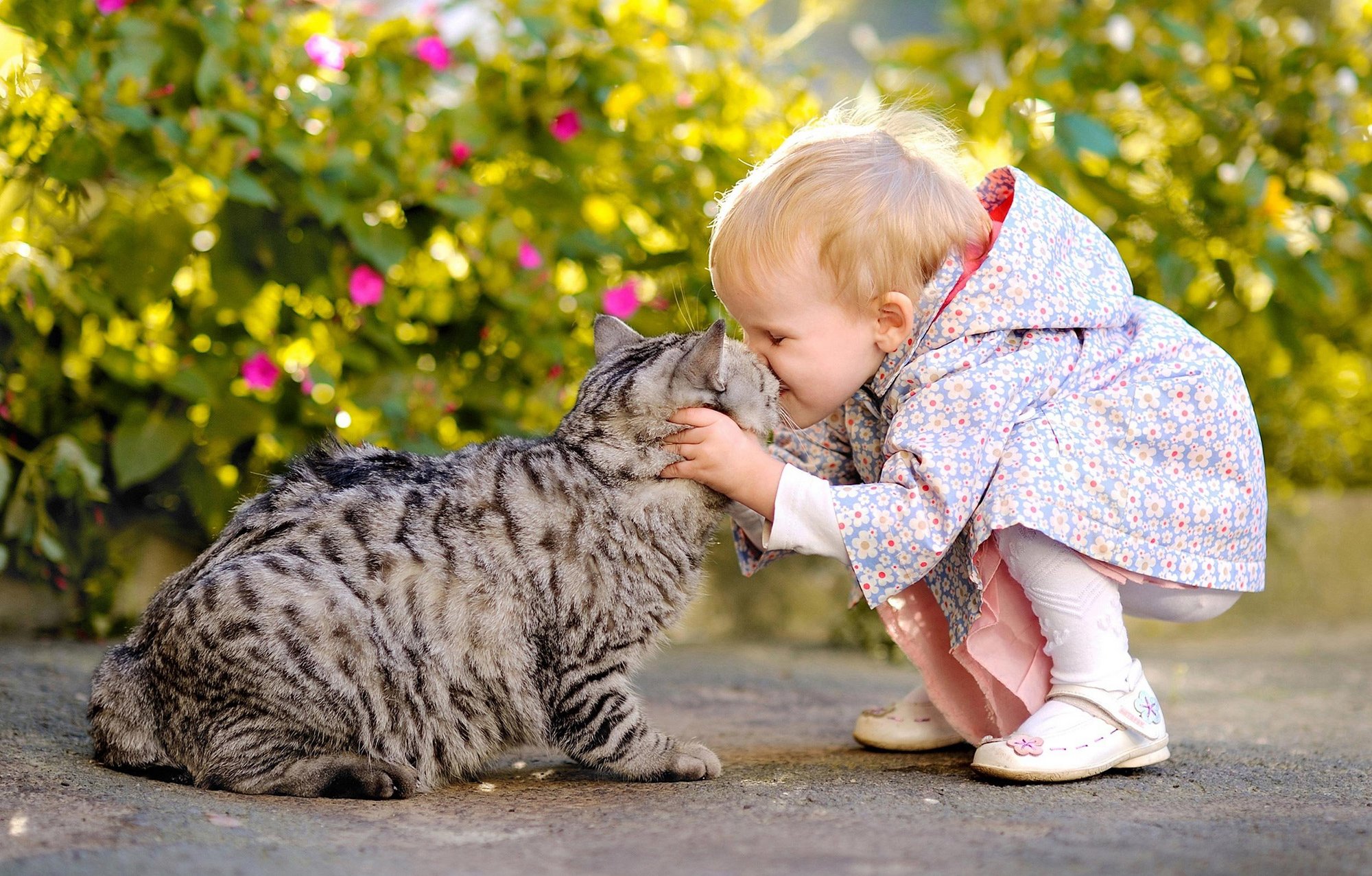 Kind kuschelt mit Katze